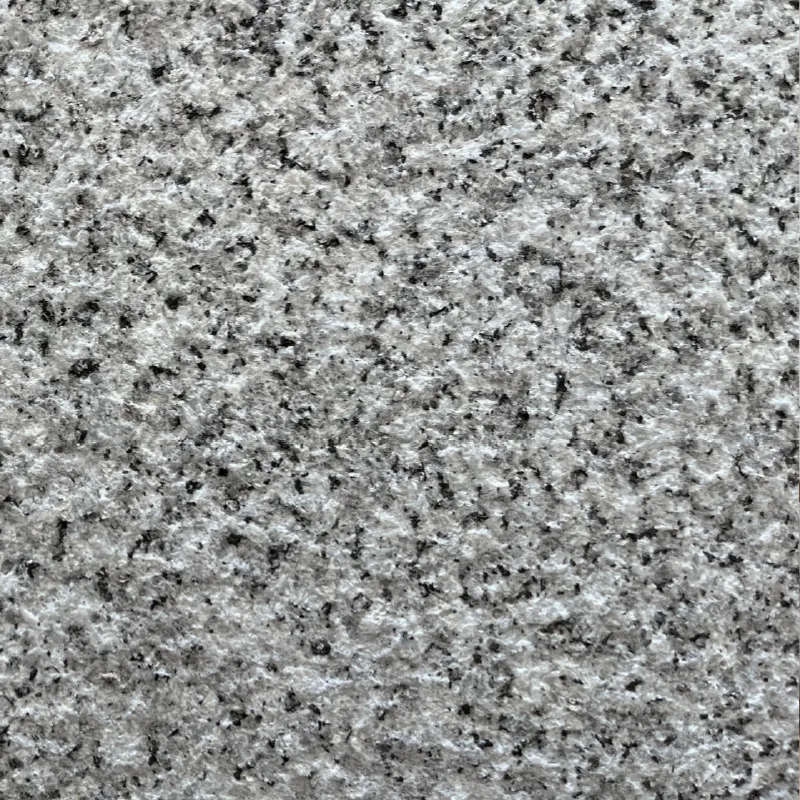 Paiva Grey granite sample